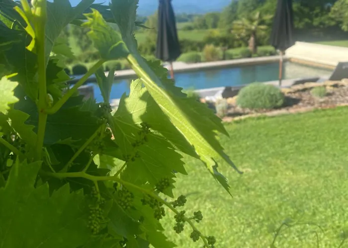 Les Des 3 Chouettes Couette-café