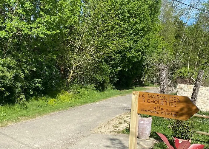 Les Des 3 Chouettes * Sepx