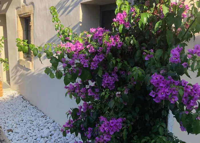 Couette-café Les Des 3 Chouettes *