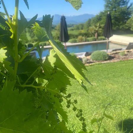 Les Des 3 Chouettes Oda ve Kahvaltı