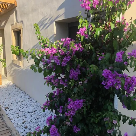 Oda ve Kahvaltı Les Des 3 Chouettes *