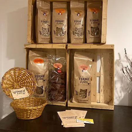 Les Des 3 Chouettes * Sepx